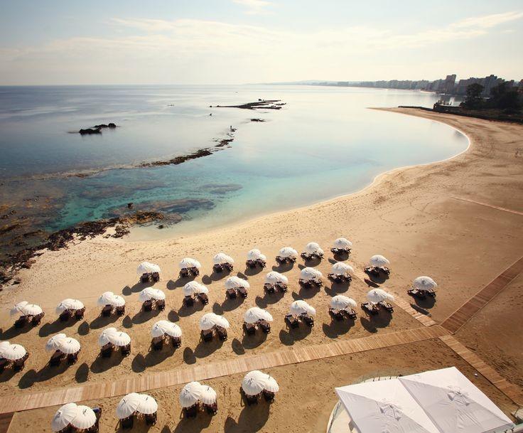 Palm beach in North Cyprus